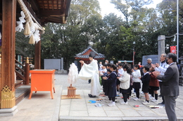 �Q�q�̕׋���