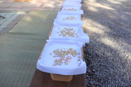 �p�ӂ��ꂽ��