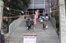 �n���f�}�b�`�̂��َq���D��ł�