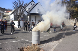 �T�����������Ă��܂�