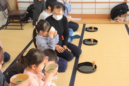 �����̌��̗l�q