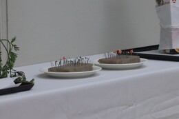 ����ɂႭ�Ɏh�����j����