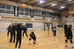 9���̗\�I���[�O�̗l�q