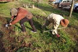 �����A����Ƃ̗l�q