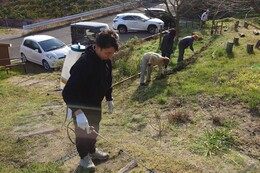 �L�юn�߂��G���ɏ����܎U�z���Ă��܂�