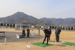 �p�[�N�S���t�̗l�q