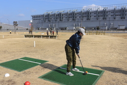 �p�[�N�S���t�̗l�q