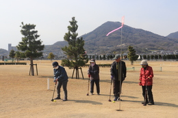 �p�[�N�S���t�̗l�q