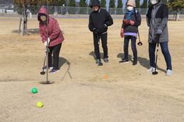 �p�[�N�S���t�̗l�q