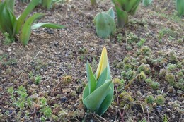 �����ʂ�Ԓd�ł̈�ԊJ��