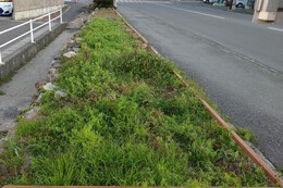 B2�G���A�@before