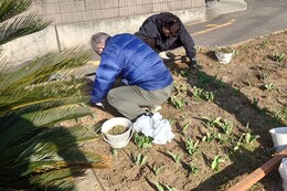 �G�������̗l�q�@A�G���A