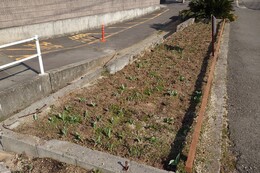 B1�G���A�@after