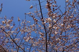 �������R�������̏ꑑ����i�G�h�q�K���j