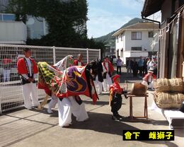 會下 雌獅子(2015年撮影) 會下 雌獅子